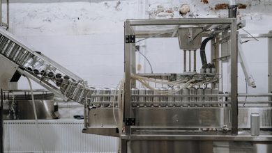 how-a-papa-machine-improves-efficiency-in-food-manufacturing