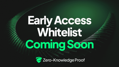the-ultimate-asymmetric-opportunity:-why-zero-knowledge-proof-could-be-blockchain’s-next-big-leap