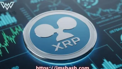 revealed:-how-xrp-holders-are-using-ims-hash-cloud-power-platform-to-achieve-financial-freedom