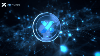 blockchain-news-giants-finally-acknowledge-xrp-tundra-as-‘most-important-defi-innovation-of-2025